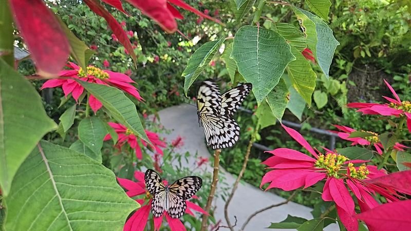 Photography Spots and Family Moments