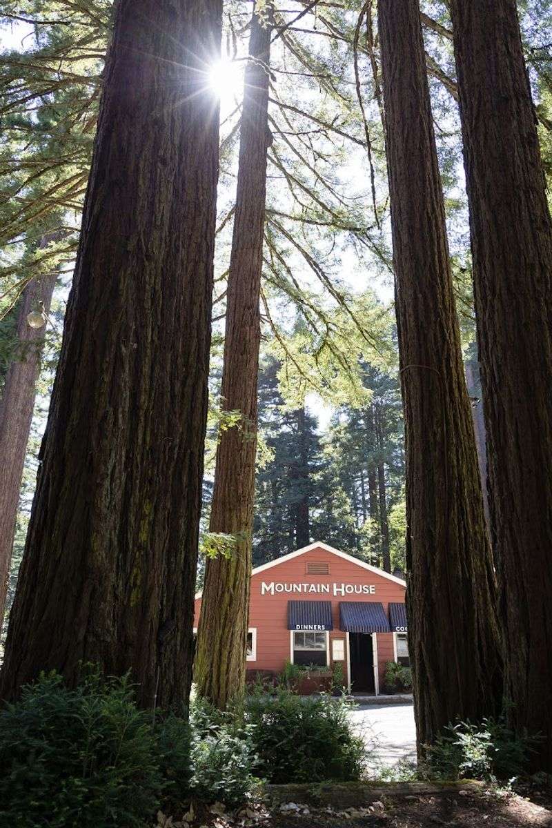 The Mountain House (Woodside)