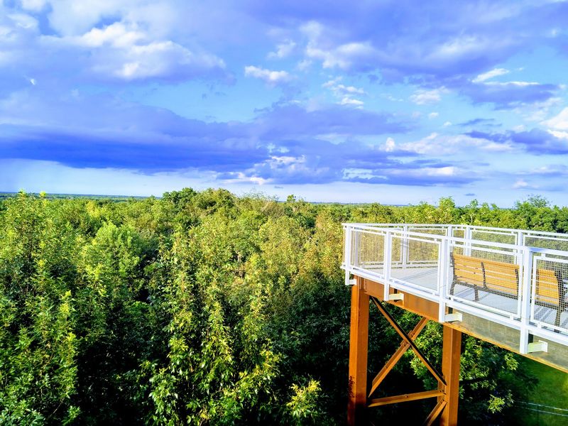 A Towering View That Defies Florida's Flat Reputation