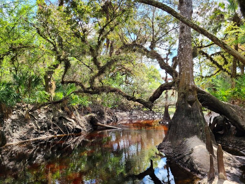 Econ River Wilderness Area — Oviedo