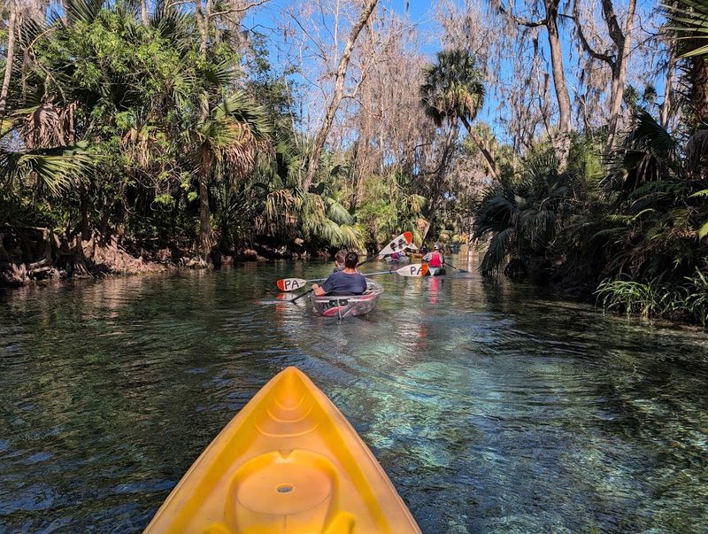 Silver Springs State Park (Silver Springs)