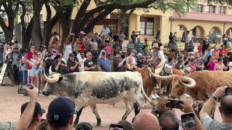 Rich History Lesson Before Each Drive