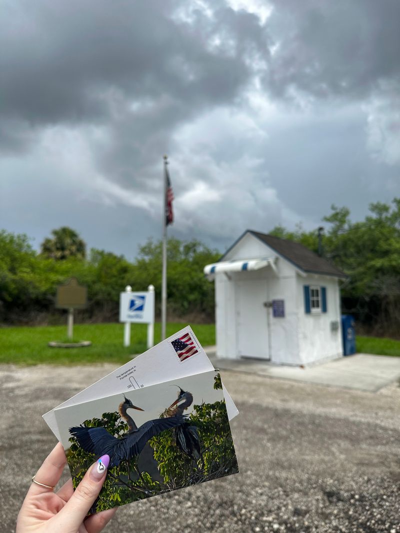 Visiting Hours And Practical Tips