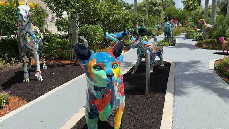 A Gallery That Barks and Meows