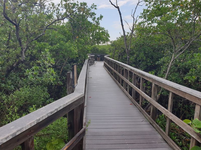 Explore the Indian Rocks Beach Nature Preserve