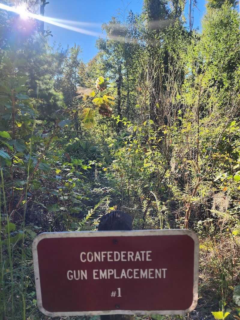 Confederate Earthworks: Trenches Frozen in Time