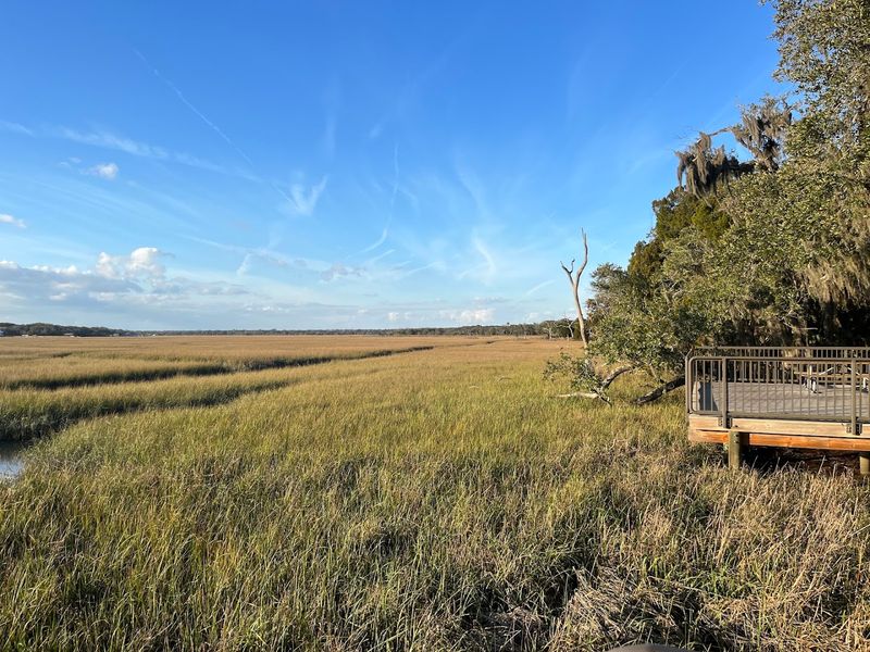 Nature Trails That Reveal Florida's Coastal Ecosystems Up Close