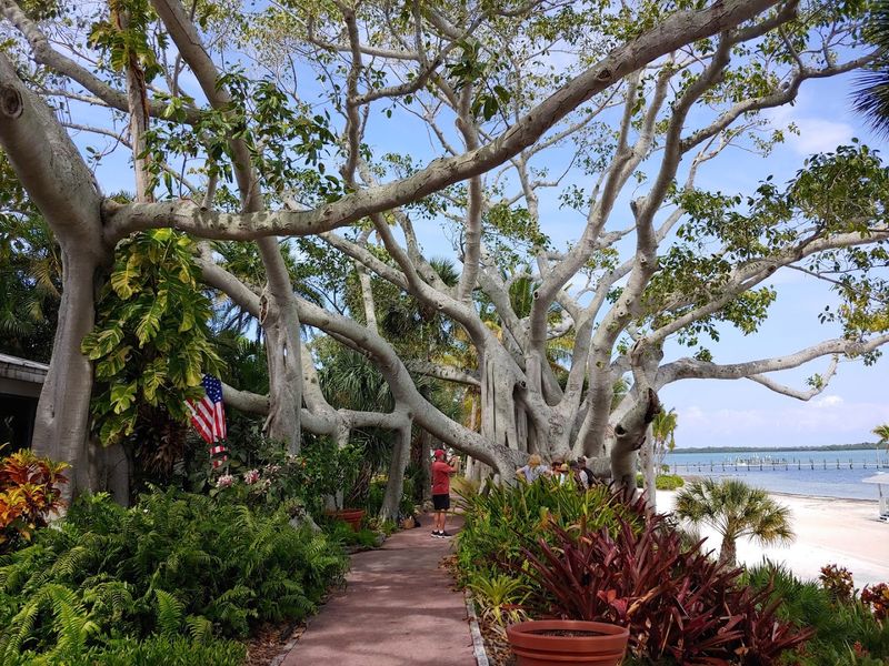 Pristine Beaches With Incredible Wildlife Encounters