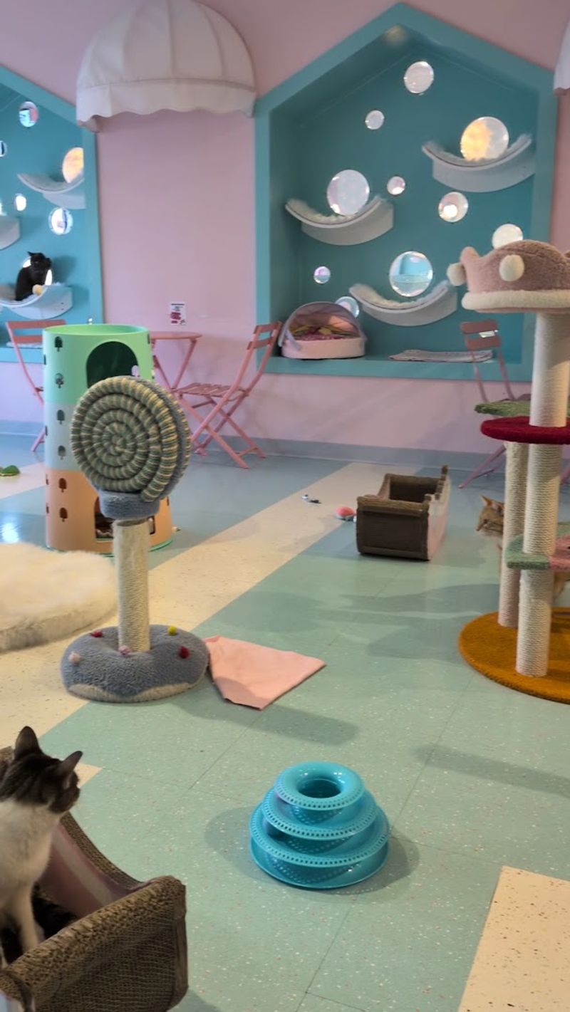 Cleanliness and Comfort