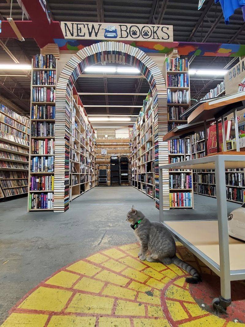 A bookstore that feels bigger than expected