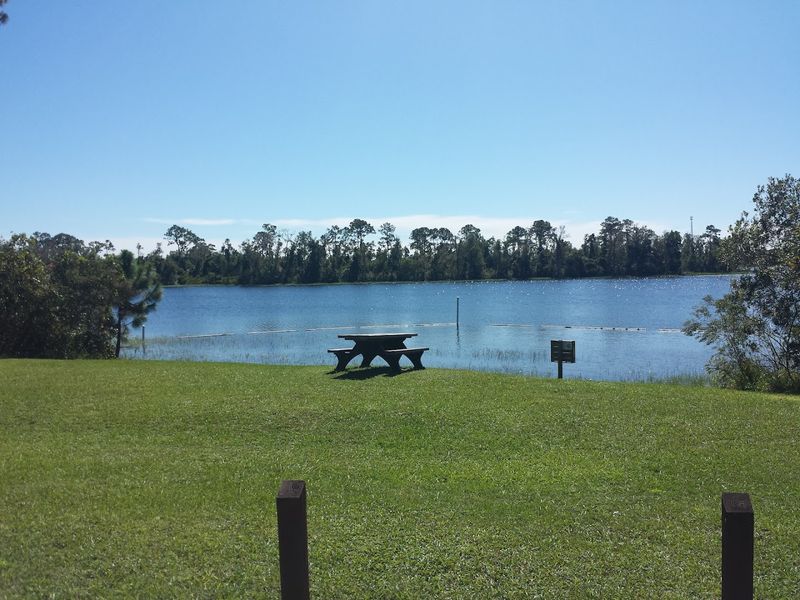Peaceful Picnic Spots and Facilities