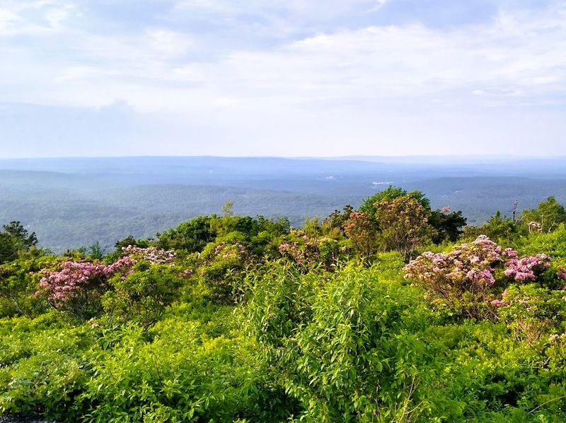 Indian Trail, Big Pocono State Park