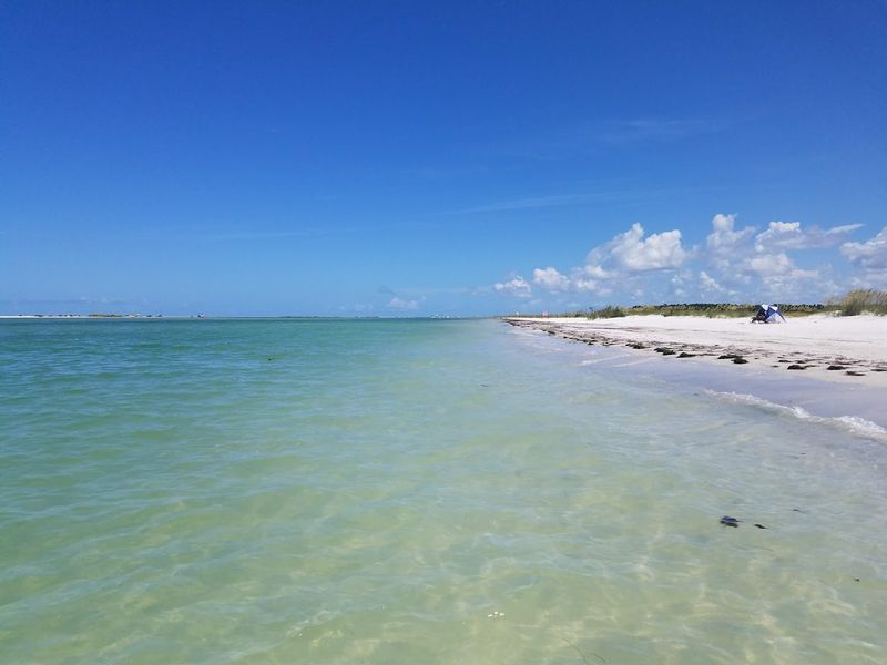 The Famous Sand Dollar Hunting Grounds