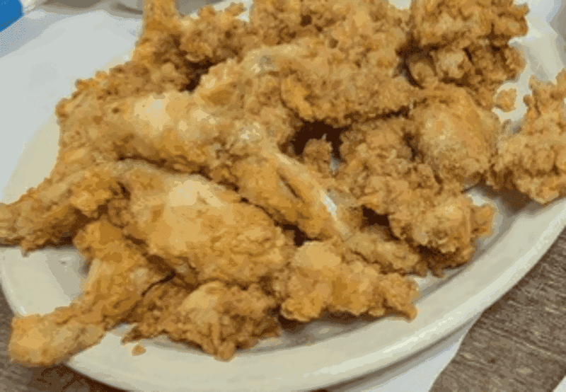 Gator Bites For The Adventurous