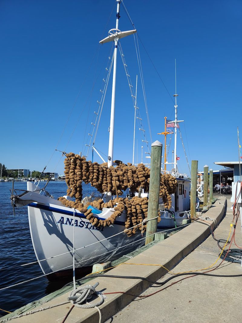 The Sponge Exchange Reveals a Fascinating Industry History