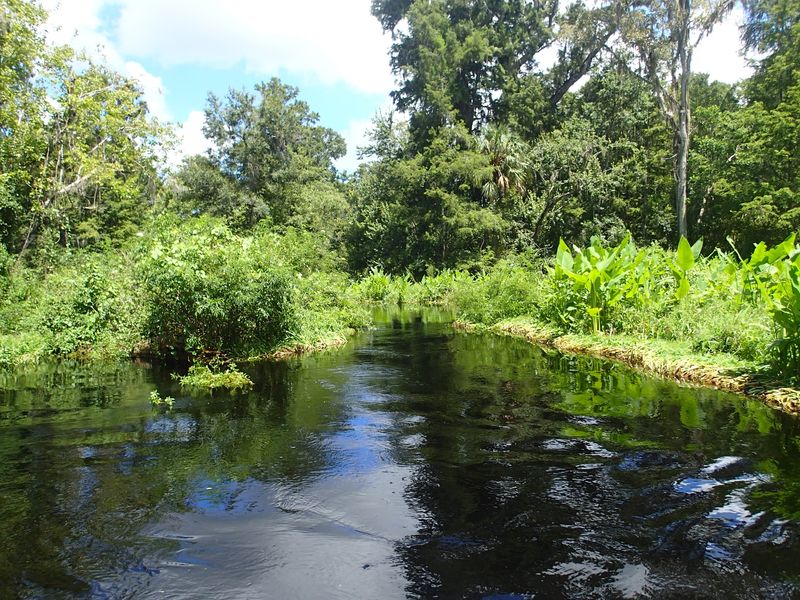 Kayaking Offers Safe Water Adventures