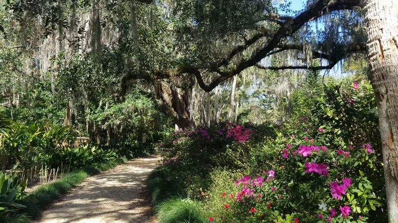 Shaded Trails Perfect For Lazy Afternoon Walks