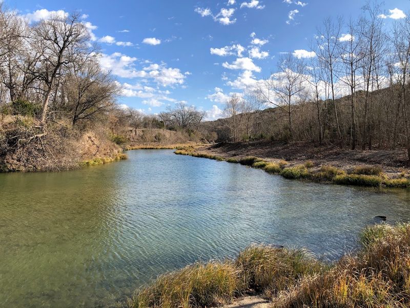 Wildlife Watching Along The Lampasas River