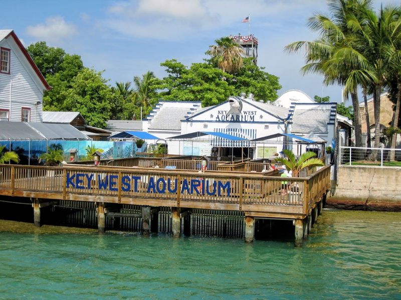 Key West Aquarium (Key West)