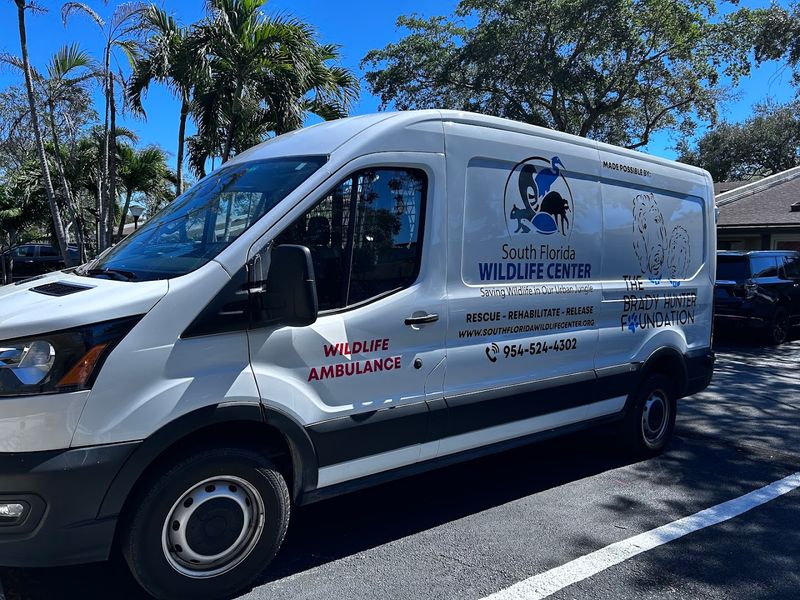 A Rescue Operation That Covers Serious Ground