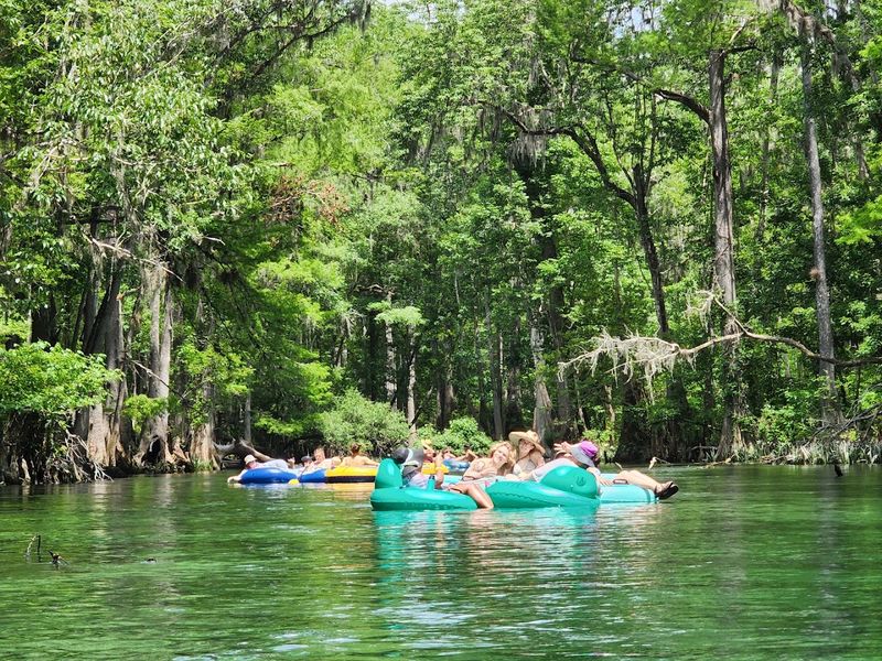 Ichetucknee Springs State Park (Fort White)