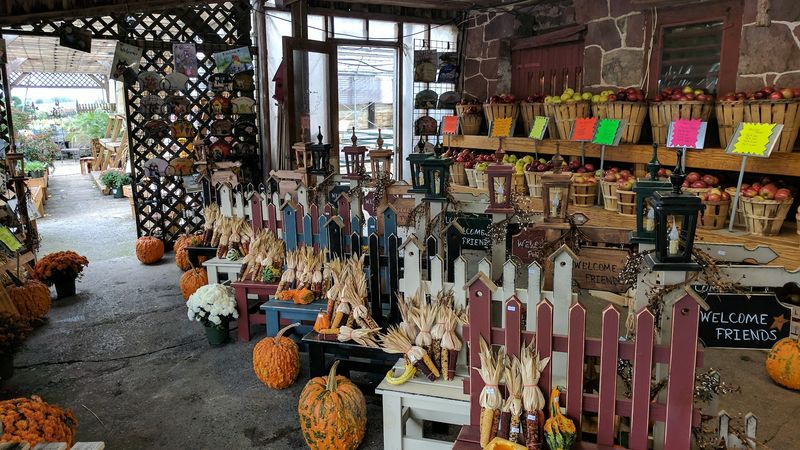 The market feels tied to local life, not just tourism
