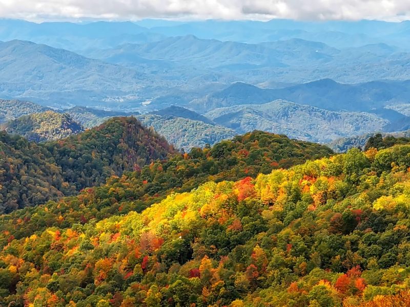 Maggie Valley
