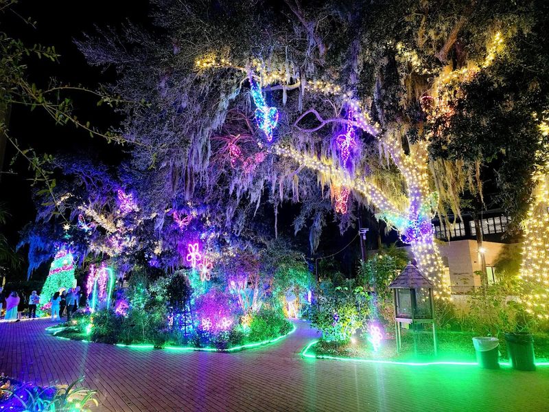 Lights in Bloom Nighttime Experience
