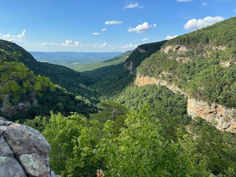 Cloudland Canyon West Rim Loop