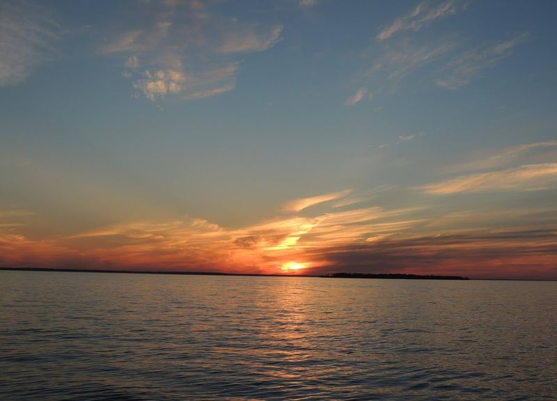 Lake Livingston State Park (Pineywoods Boardwalk)