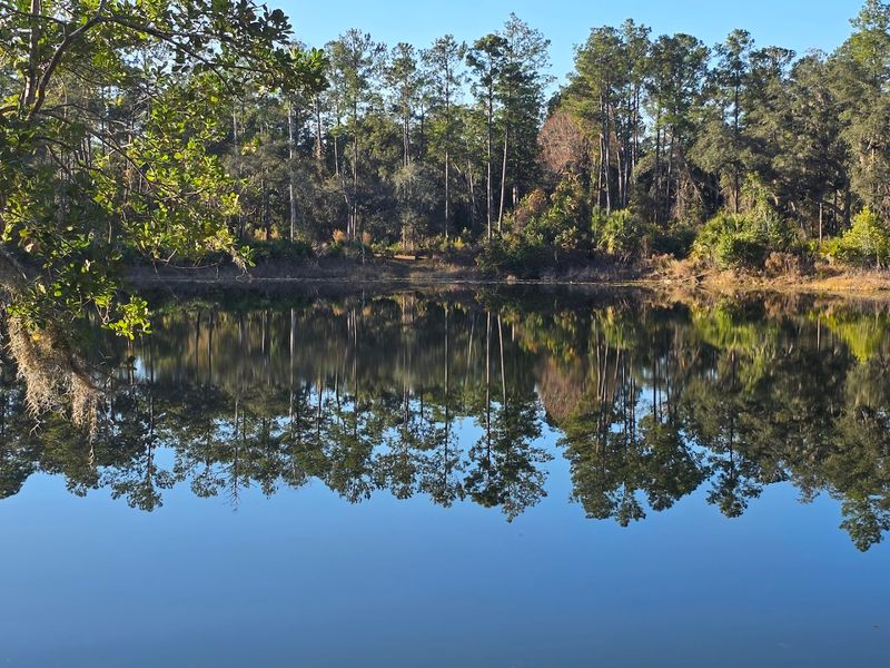 Why Blue Pond Entrance Feels Like A Secret