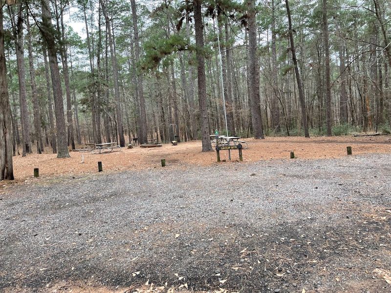 Recently Renovated Campground with Modern Amenities