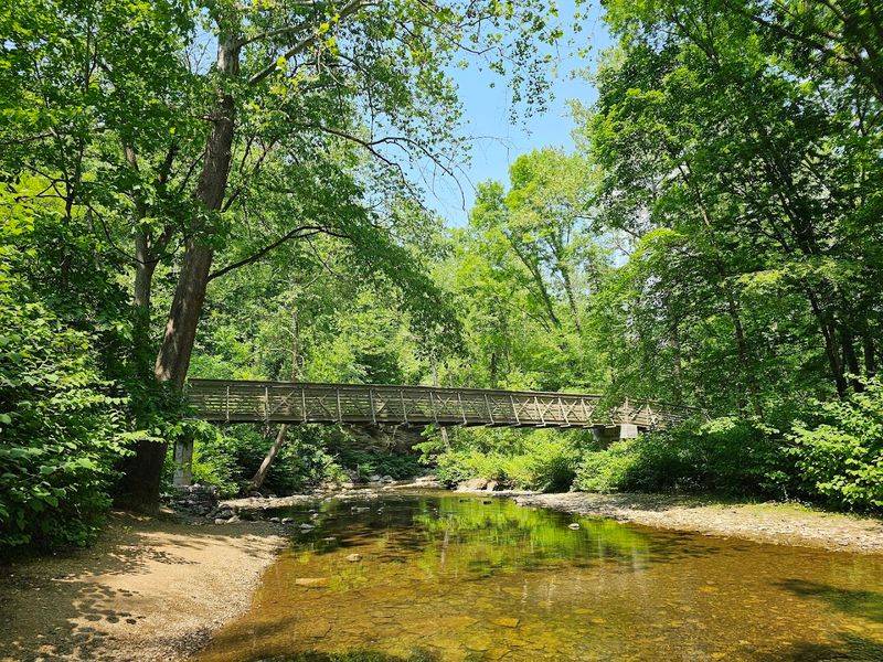 Meeks Run Waterfalls And Bridges