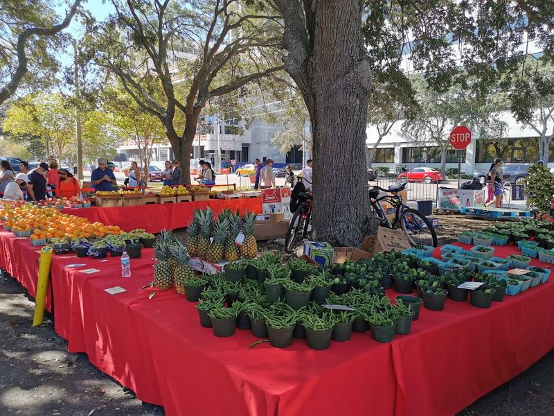 St. Petersburg Saturday Morning Market (St. Petersburg)