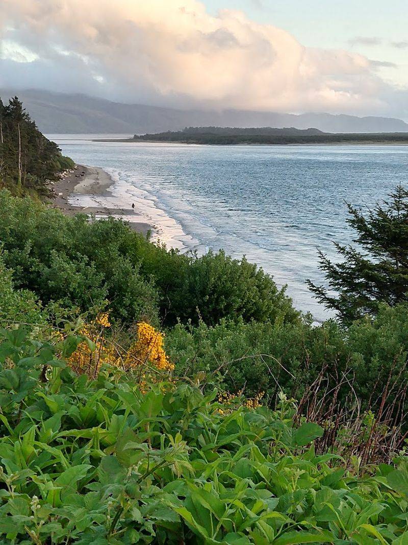 Oyster Culture And Tasting
