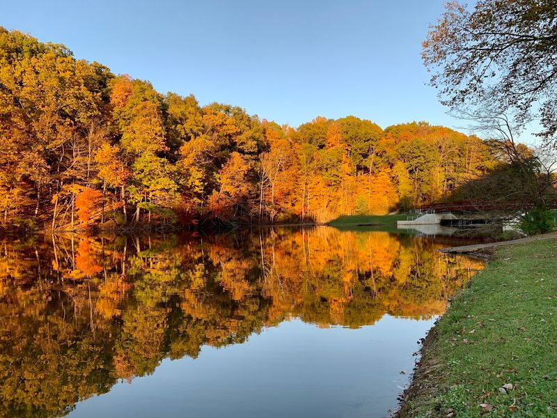 Mount Gilead State Park