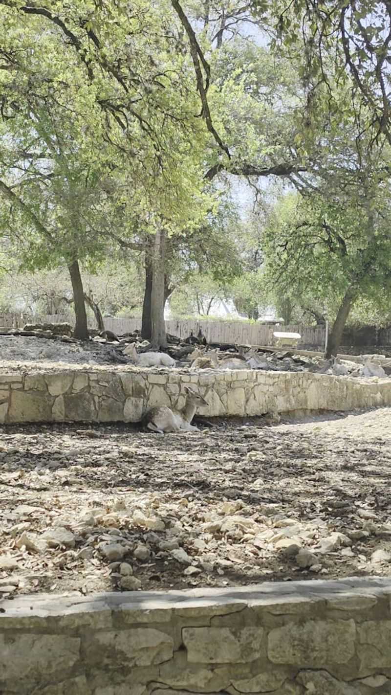 Picnic Areas That Save You Money