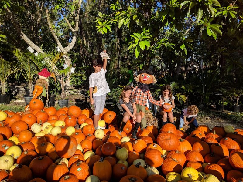 Lawn Games and Photo Spots