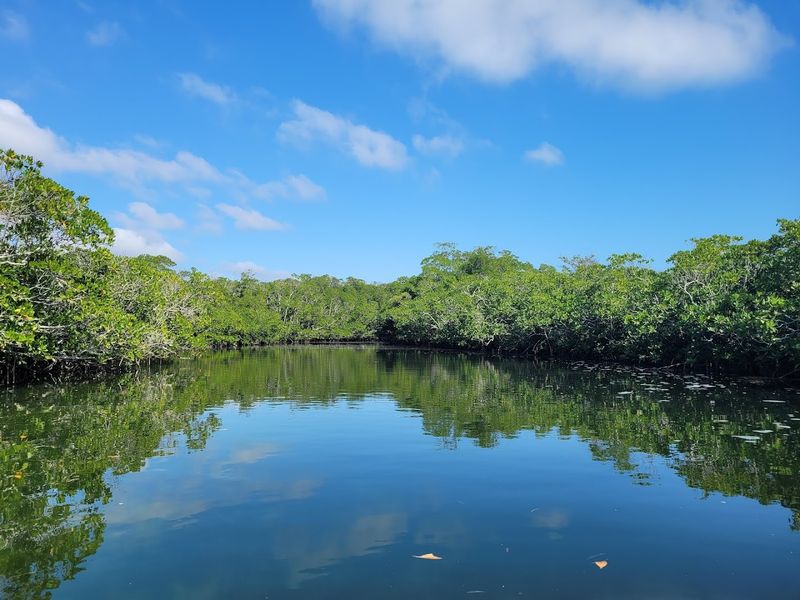 John Pennekamp Coral Reef State Park (Key Largo)