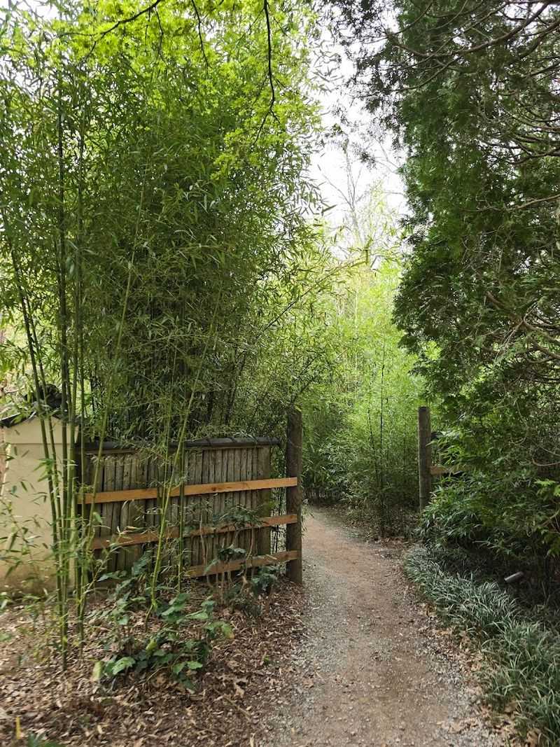 A Pagoda and Bamboo Forest Atmosphere