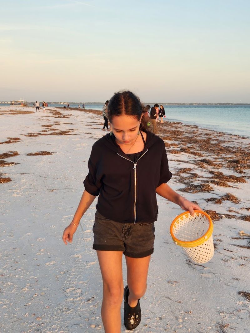 Exceptional Shell Collecting Along Untouched Shores