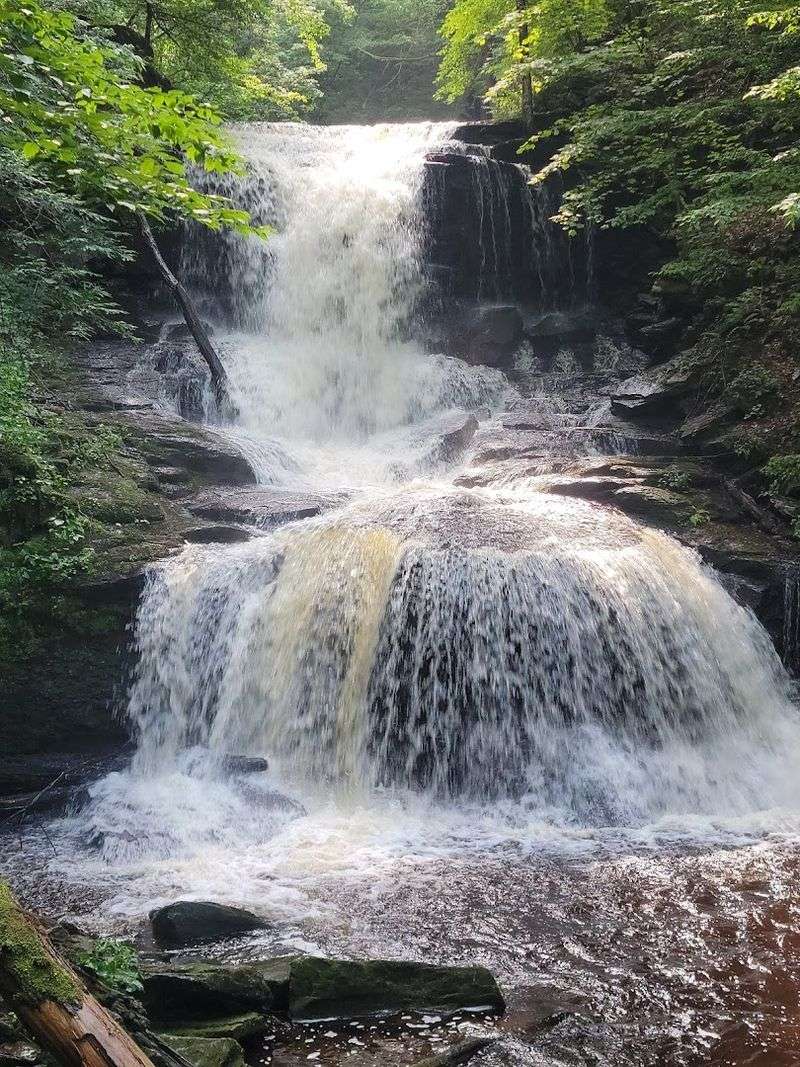 Ganoga Falls: The Crown Jewel