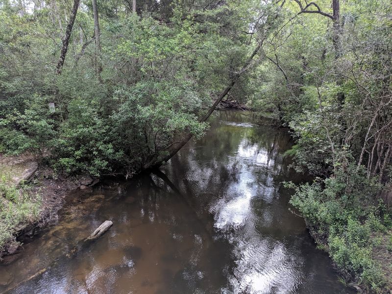 Wildlife and Native Flora Along the Trails