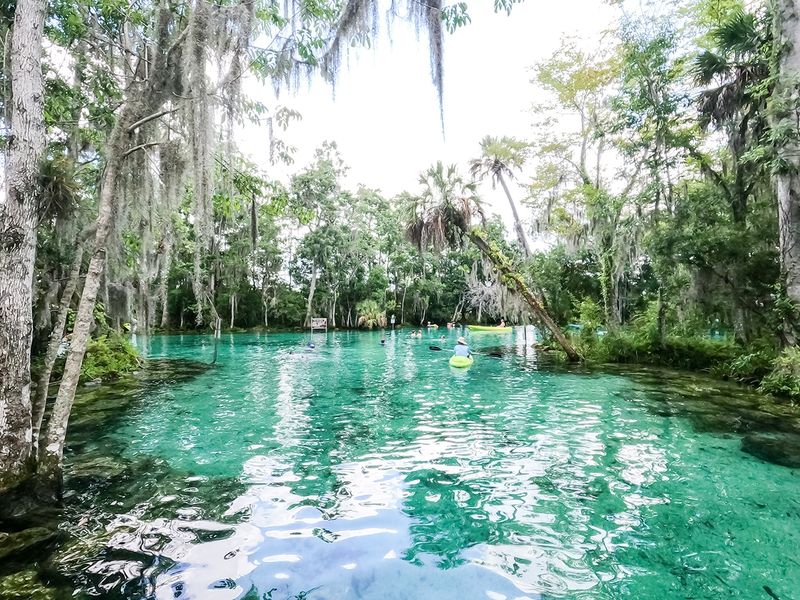 Explore Hunter Springs and Seven Sisters by Paddle