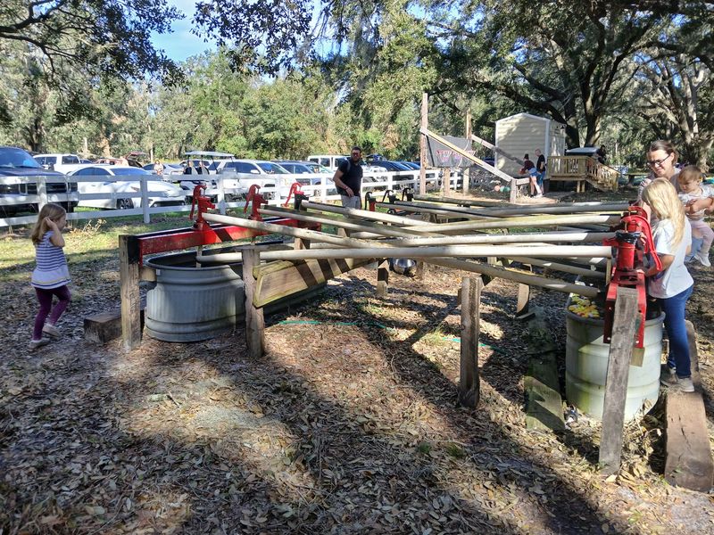 Duck Races, Cornhole, and a Steer That Never Runs Away