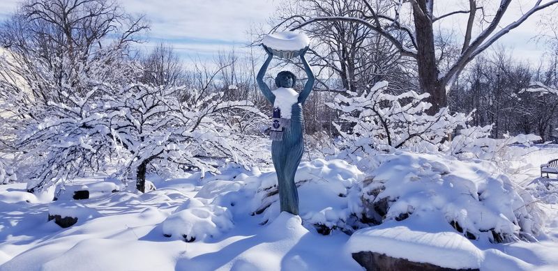 Wellfield Botanic Gardens (Elkhart)