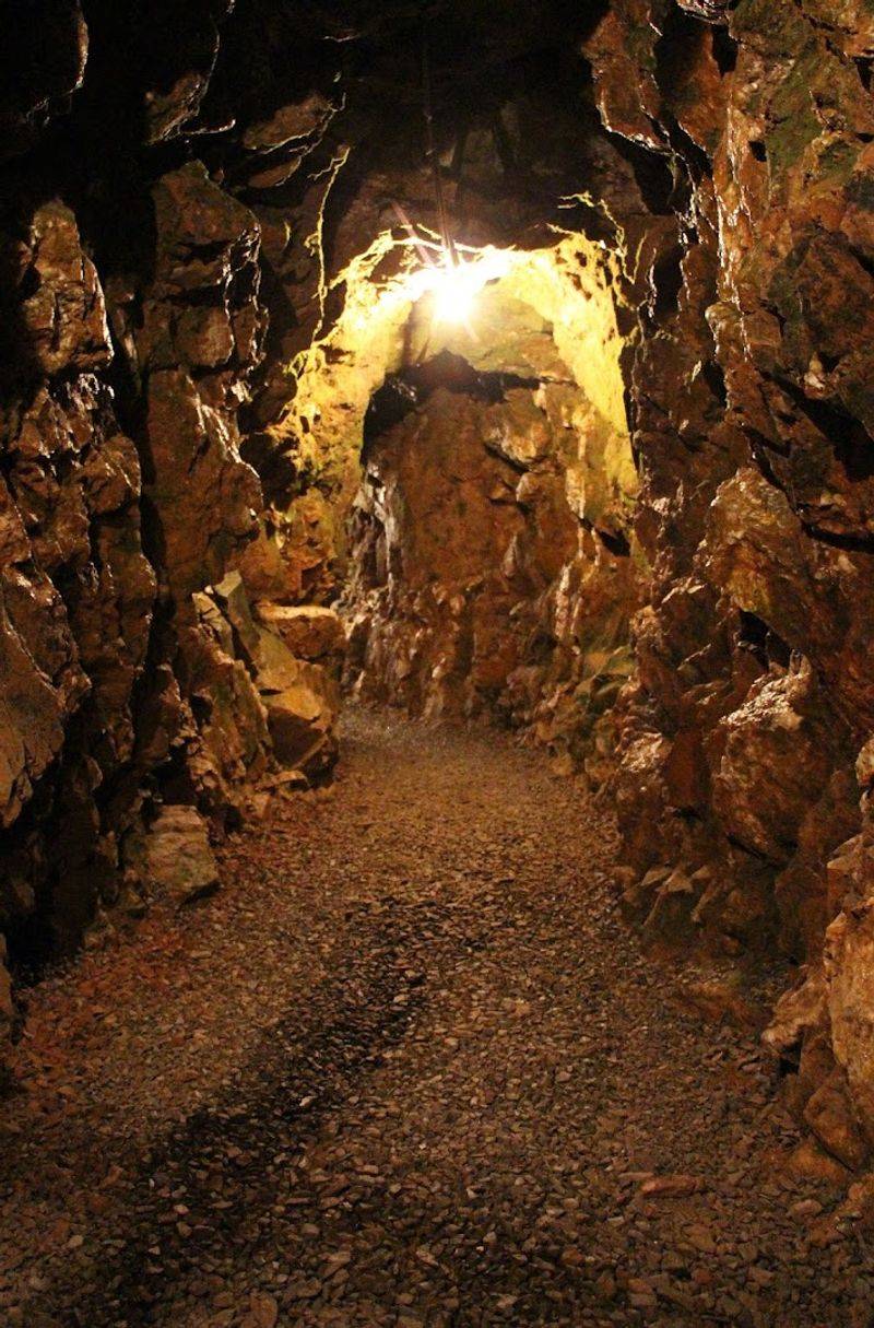 Reed Gold Mine Historic Site