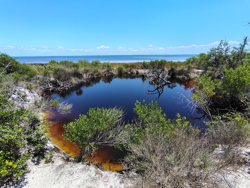 T.H. Stone Memorial St. Joseph Peninsula State Park: Giant Dunes and Total Quiet