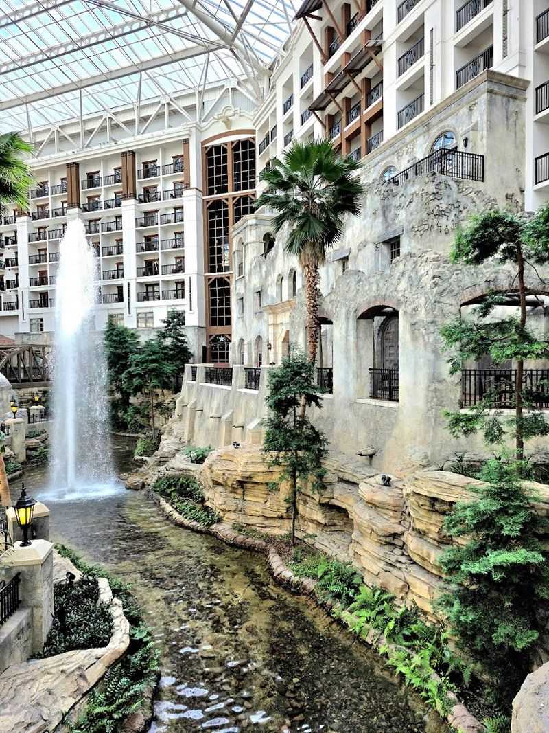 Rooms With Views That Make Mornings Better