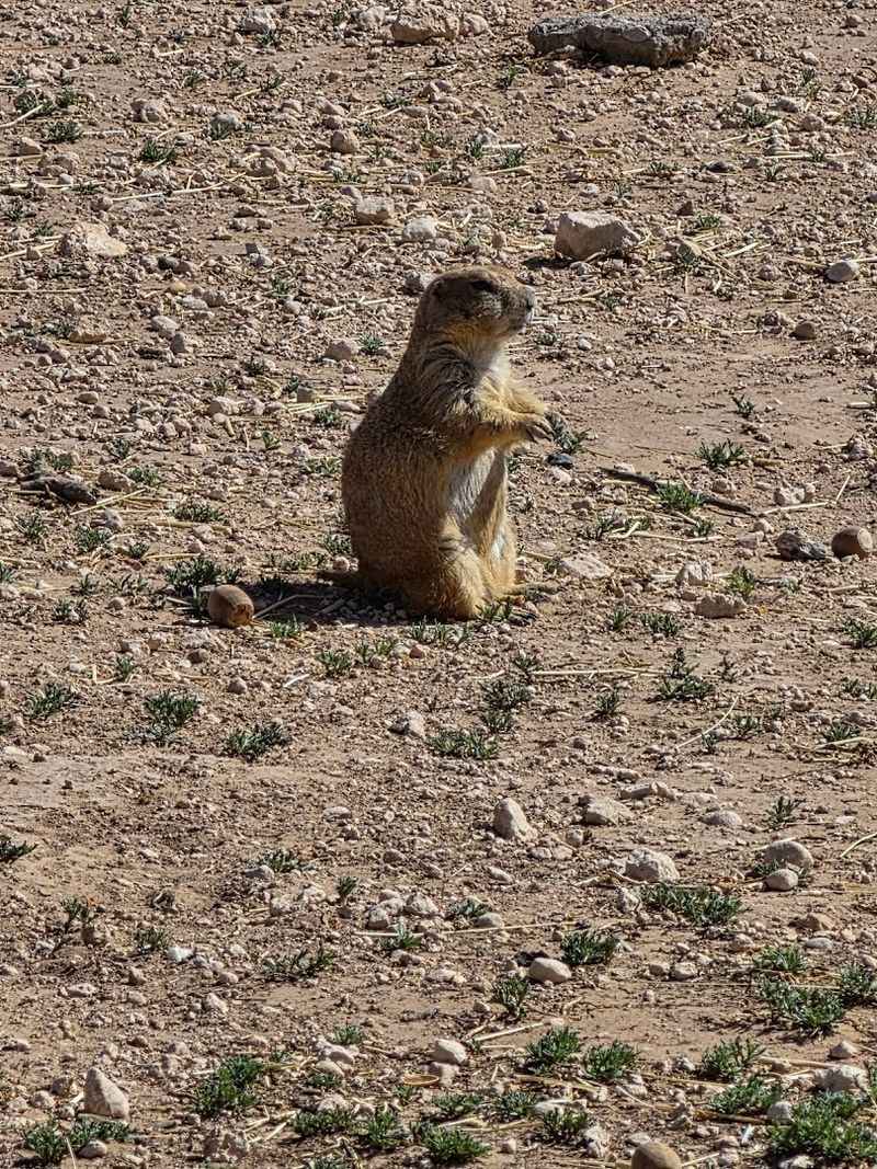 It's More Than Just a Quick Stop